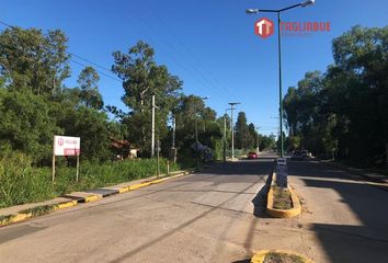 Terrenos en  Merlo, San Luis