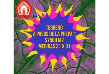 Lote de Terreno en  Tapachula Centro, Tapachula De Córdova Y Ordóñez