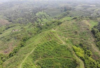 Villa-Quinta en  Calarcá, Quindío