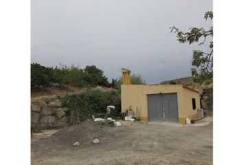 Terreno en  Los Gallardos, Almería Provincia