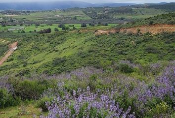 Lote de Terreno en  La Misión, Ensenada