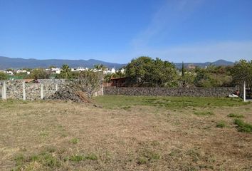 Lote de Terreno en  El Ahuehuete, Tlayacapan