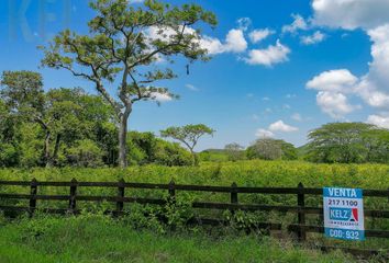 Lote de Terreno en  Naranjos Amatlán, Veracruz