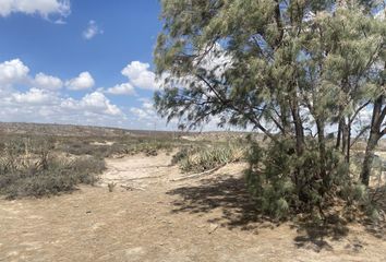 Lote de Terreno en  Carretera Saltillo-torreón, San Antonio Del Jaral, General Cepeda, Coahuila, México