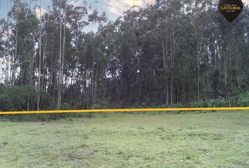 Terreno Comercial en  Ricaurte, Cuenca