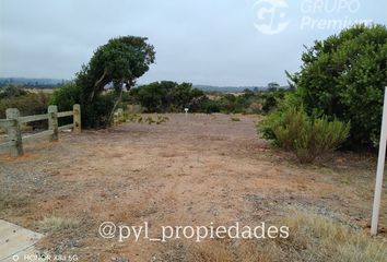 Parcela en  Algarrobo, San Antonio