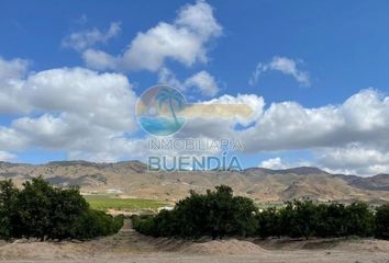 Terreno en  Lorca, Murcia Provincia