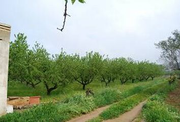 Chalet en  Llíria, Valencia/valència Provincia