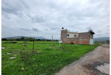 Lote de Terreno en  Noria De Montes, Sahuayo