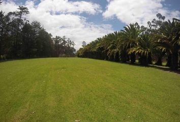 Terreno Comercial en  Puembo, Quito