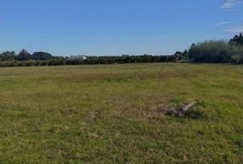 Terrenos en  San Jaime Del La Frontera, Entre Ríos