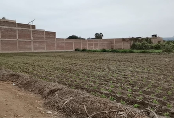 Terreno en  Villa Maria Del Triunfo, Lima