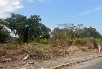 Lote de Terreno en  Campo Viejo, Coatepec, Veracruz