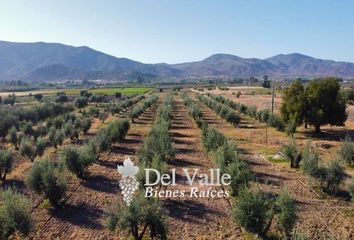 Lote de Terreno en  La Misión, Ensenada