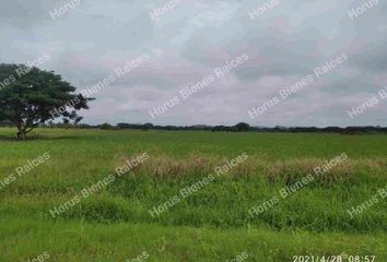 Terreno Comercial en  Tarifa, Samborondón, Ecu