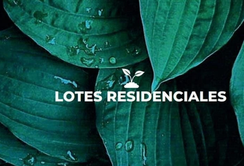 Lote de Terreno en  Pueblo Dzitya, Mérida, Yucatán