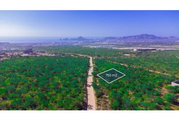 Lote de Terreno en  Portales, Cabo San Lucas