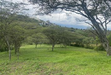 Terreno Comercial en  Tumbaco, Quito