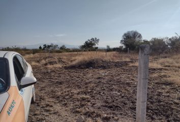 Lote de Terreno en  Carretera Cuautla Izúcar De Matamoros, Empleado Municipal, Cuautla, Morelos, 62754, Mex