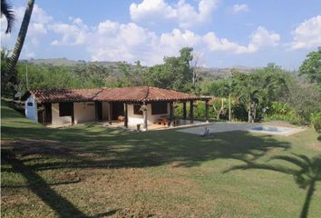 Villa-Quinta en  Fredonia, Antioquia