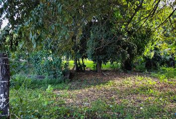 Lote de Terreno en  Bacalar, Bacalar, Bacalar, Quintana Roo