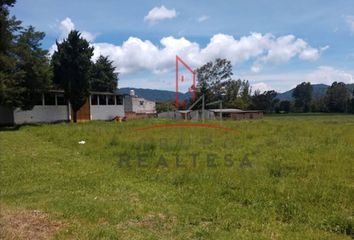 37 lotes de terrenos en venta en Tenancingo, Edo. de México 