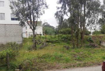 Terreno Comercial en  La Concepción, Quito