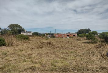 Terrenos en  4f36+wx Barrio Felix Camet, Provincia De Buenos Aires, Argentina