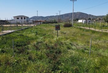 Lote de Terreno en  La Misión, Ensenada