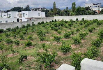 Terreno Comercial en  Tumbaco, Quito