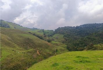 Lote de Terreno en  San Roque, Antioquia