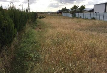 Terreno en  Sangonera La Seca, Murcia Provincia