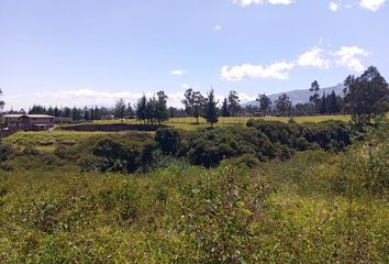 Terreno Comercial en  Pifo, Quito