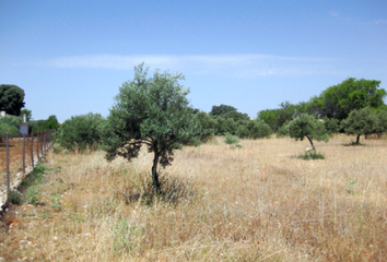 Terreno en  Orihuela, Alicante Provincia