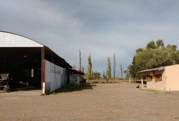 Terrenos en  General Alvear, Mendoza