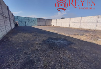 Lote de Terreno en  Tierra Larga, Cuautla, Morelos