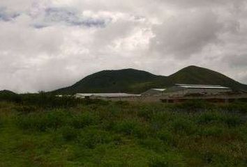 Terreno Comercial en  Oriente 1528, Pifo 170175, Ecuador