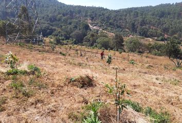 Lote de Terreno en  Valle De Bravo, Valle De Bravo