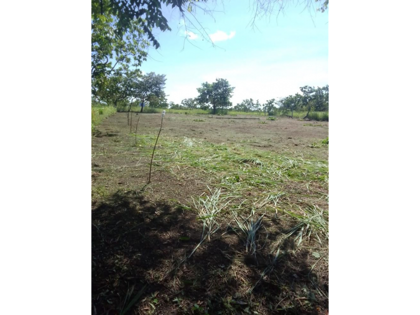 venta Lotes y Terrenos en Vista Mar, San Carlos (5934197)