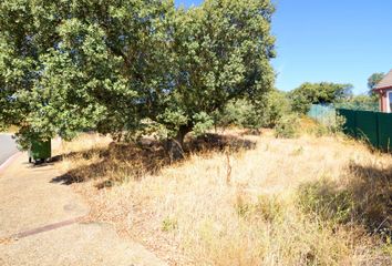 Terreno en  Carrascal De Barregas, Salamanca Provincia