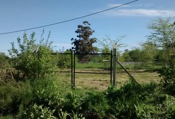 Terrenos en  Villa Elisa, Partido De La Plata
