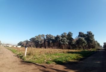 Terrenos en  San Patricio, Partido De Moreno