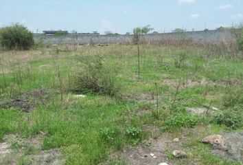 Lote de Terreno en  Chiconcuac, Xochitepec, Xochitepec, Morelos