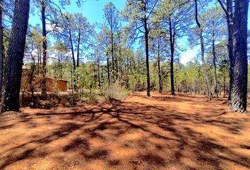 Lote de Terreno en  Los Espinos, Tapalpa, Jalisco, 49346, Mex