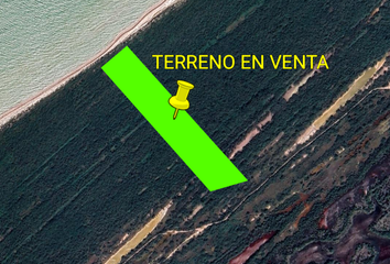 Lote de Terreno en  Celestún, Yucatán