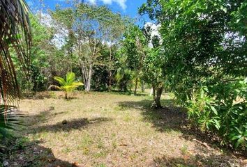 Lote de Terreno en  Bacalar, Bacalar, Bacalar, Quintana Roo