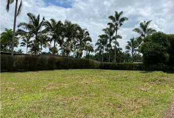 Lote de Terreno en  Cerritos, Pereira