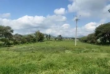 Lote de Terreno en  Santa Cruz De Las Flores, Tlajomulco De Zúñiga