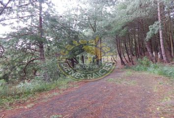 Terreno Comercial en  Tarqui, Cuenca