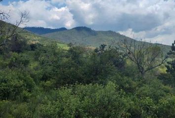 Lote de Terreno en  Tapalpa, Tapalpa, Tapalpa, Jalisco